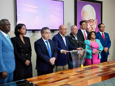 “El presidente debió condenar en la ONU la masacre en Gaza”, cree PLD